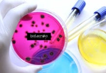 NIAB Life Science Internship & Training Programme NIAB Life Science Internship