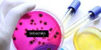 NIAB Life Science Internship