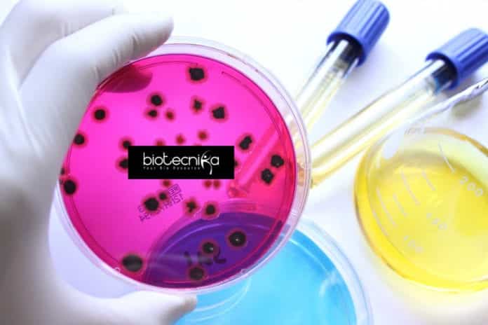NIAB Life Science Internship