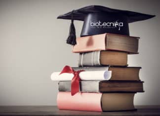 National University of Singapore Scholarship 2020 National University of Singapore