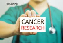 New Organelle Discovered That Prevents Cancer – Breakthrough Research New Organelle Prevents Cancer