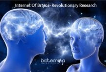 Brain-To-Brain Communication In Humans- A Revolutionary Step By Scientists New Research On Internet Of Brains