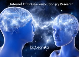 New Research On Internet Of Brains