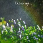 Plant's Reaction To Rain