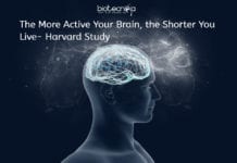 The More Active Your Brain, The Shorter You Live – A Harvard Research Relation Of Brain Activity With Life
