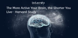 Relation Of Brain Activity With Life