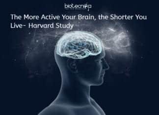 The More Active Your Brain, The Shorter You Live – A Harvard Research Relation Of Brain Activity With Life