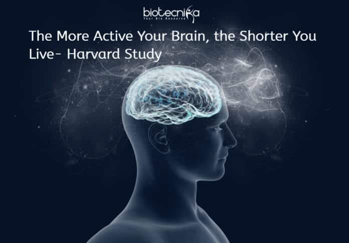 Relation Of Brain Activity With Life