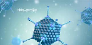 Researchers Find New Adenovirus Strains