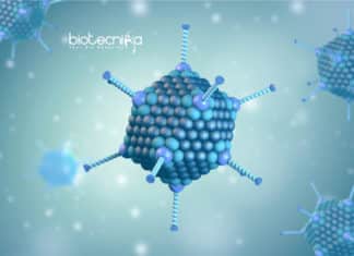 DUKE-NUS Scientists Finds Four New Strains of Adenovirus Researchers Find New Adenovirus Strains