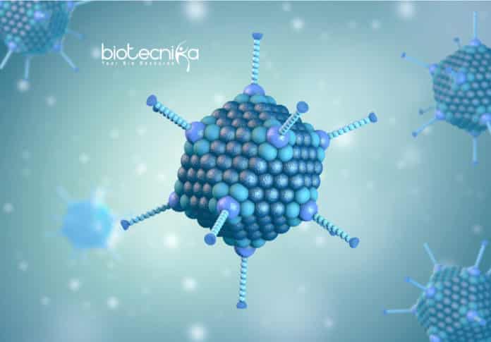 Researchers Find New Adenovirus Strains