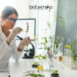 Researchers discover KARAPPO gene