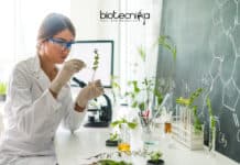 Researchers Discover the ‘KARAPPO’ Gene- Illustrates How Plants Reproduce Through Cloning Researchers discover KARAPPO gene