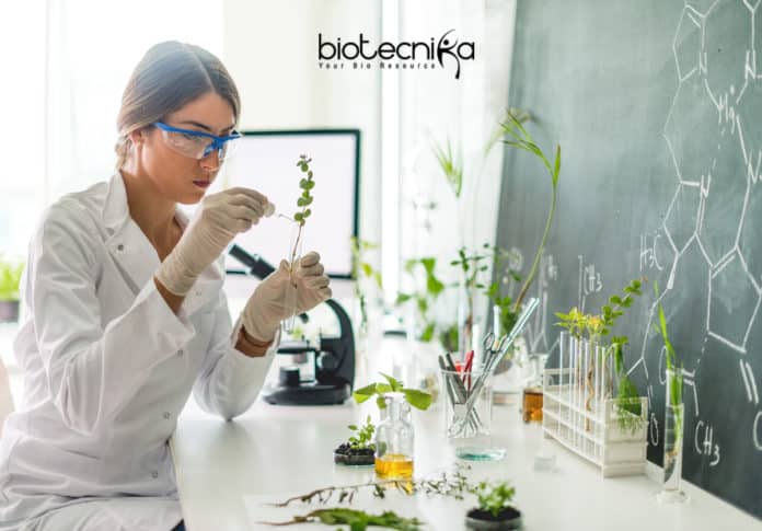 Researchers discover KARAPPO gene