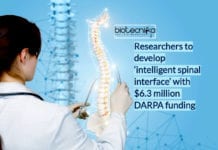 DARPA Grant $6.3 Million to Help Researchers Develop “Intelligent Spinal Interface” DARPA-grant for intelligent spinal interface