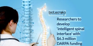 DARPA-grant for intelligent spinal interface