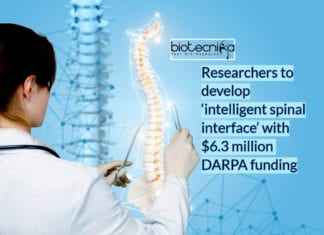 DARPA Grant $6.3 Million to Help Researchers Develop “Intelligent Spinal Interface” DARPA-grant for intelligent spinal interface