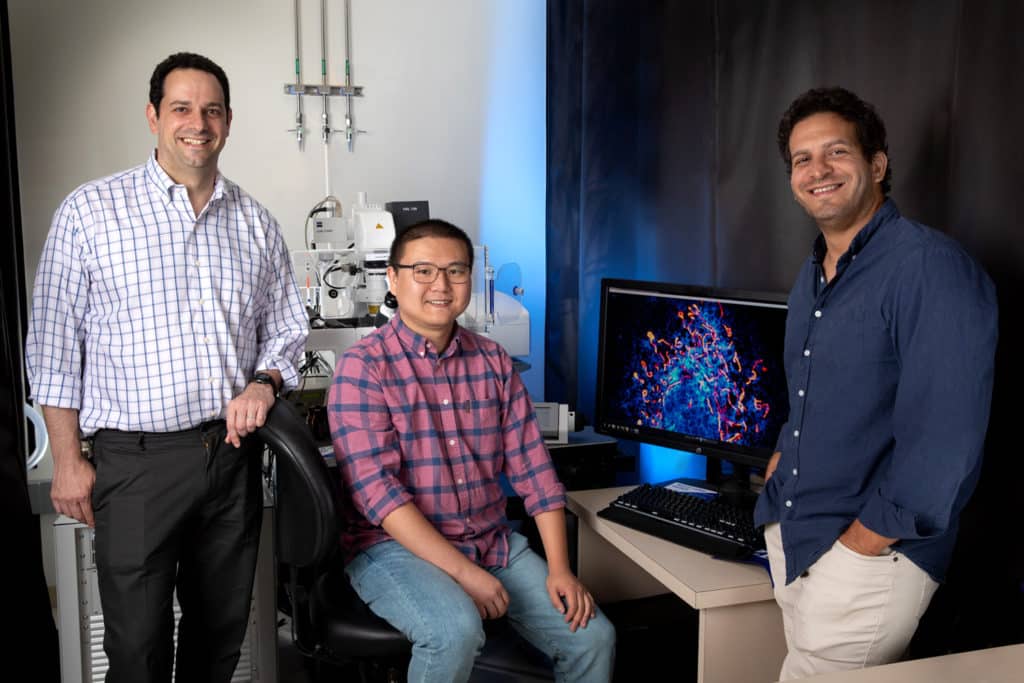 Microproteins Role In Human Disease