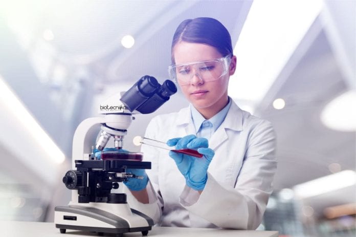 Six Month Research Training
