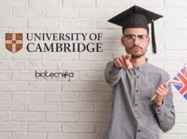 University of Cambridge PhD