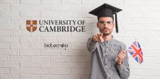University of Cambridge PhD