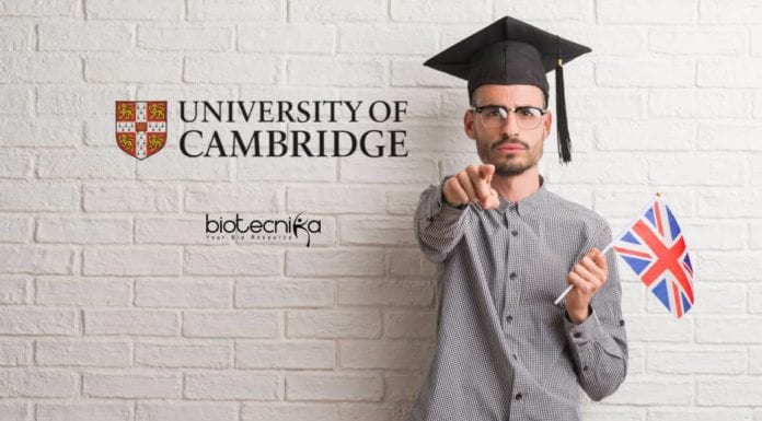 University of Cambridge PhD
