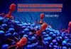 MIT Scientists Create Viruses To Kill Hardest-To-Treat E. coli Superbugs – End of Antibiotic Resistance?? Viruses to kill E.coli superbugs- End of Antibiotic Resistance_