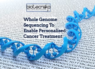 Whole Genome Sequencing To Enable Personalized Cancer Treatment Whole Genome Sequencing To Enable Personalised Cancer Treatment; Study highlights