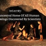 ancestral home of human beings (1)