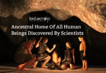Ancestral Home Of All Human Beings Discovered By Scientists ancestral home of human beings (1)