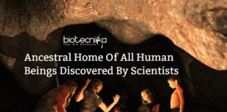 ancestral home of human beings (1)