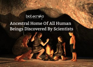 Ancestral Home Of All Human Beings Discovered By Scientists ancestral home of human beings (1)