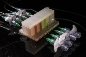 Artificial gut exposes microbiome