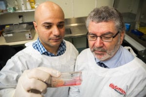 cure for cervical cancer