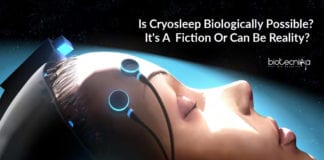 Cryosleep Biologically Possible? Cryosleep Is A Fiction Or Can Be Reality?