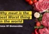 Why Meat Is The Best Worst Thing In The World!