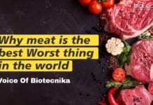 Why Meat Is The Best Worst Thing In The World!