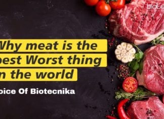 Why Meat Is The Best Worst Thing In The World!