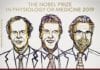 The Nobel Prize in Medicine 2019 – Awarded For Research on How Cells Manage Oxygen Nobel Prize in Medicine 2019 Awarded for Research on How Cells Manage Oxygen