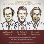 Nobel Prize in Medicine 2019 Awarded for Research on How Cells Manage Oxygen