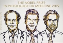 The Nobel Prize in Medicine 2019 – Awarded For Research on How Cells Manage Oxygen Nobel Prize in Medicine 2019 Awarded for Research on How Cells Manage Oxygen