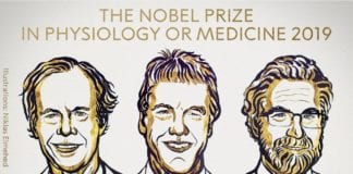 Nobel Prize in Medicine 2019 Awarded for Research on How Cells Manage Oxygen