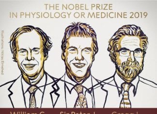 The Nobel Prize in Medicine 2019 – Awarded For Research on How Cells Manage Oxygen Nobel Prize in Medicine 2019 Awarded for Research on How Cells Manage Oxygen