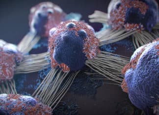 International Alliance for Cancer Early Detection; Scientists Seek Clues to How Cancer ‘is Born’
