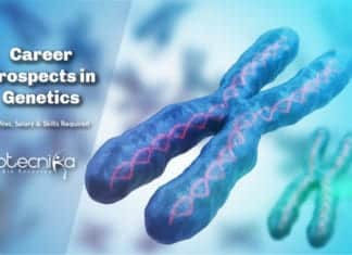 Career Prospects in Genetics – Job Profiles, Salary & Skills Required Genetics Career