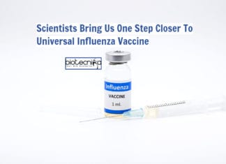 Scientists Bring Us One Step Closer To Universal Influenza Vaccine universal influenza vaccine