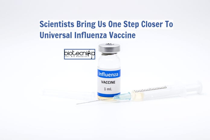universal influenza vaccine