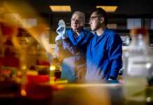 New Antibiotic From Worms- “Best Weapon” Against Superbugs New Antibiotic From Worms