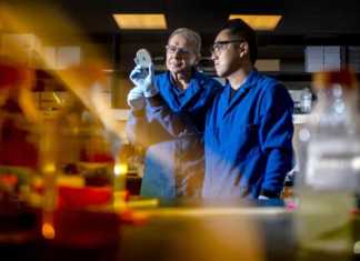 New Antibiotic From Worms- “Best Weapon” Against Superbugs New Antibiotic From Worms