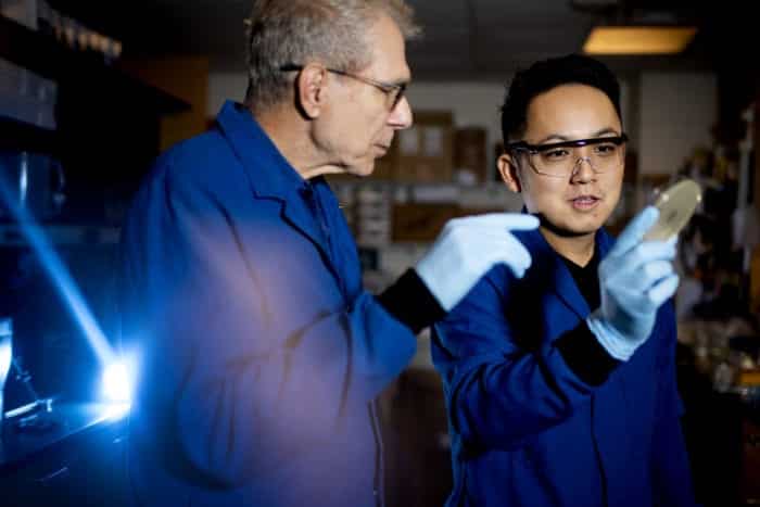 New Antibiotic From Worms